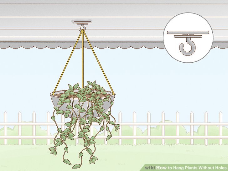 How to Hang Plants Without Holes