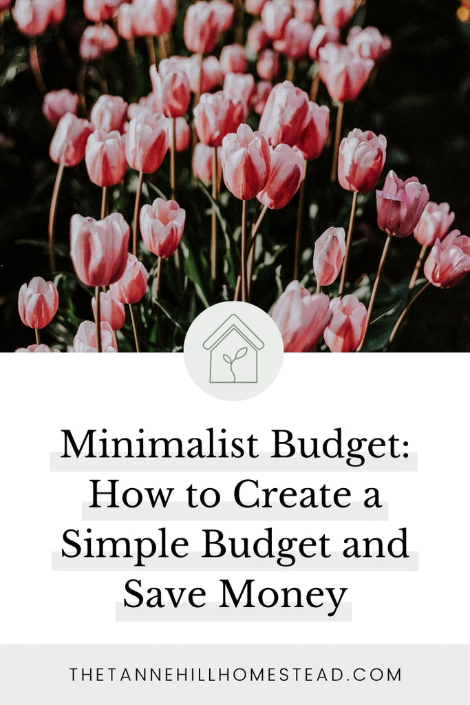Minimalist Budget: How to Create a Simple Budget and Save Money