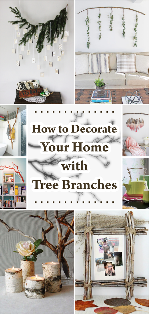 How to Decorate Your Home with Tree Branches