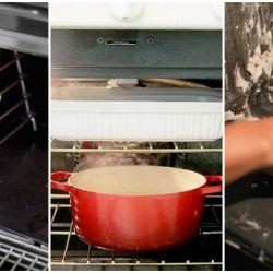 How to Clean Your Oven Like a Pro