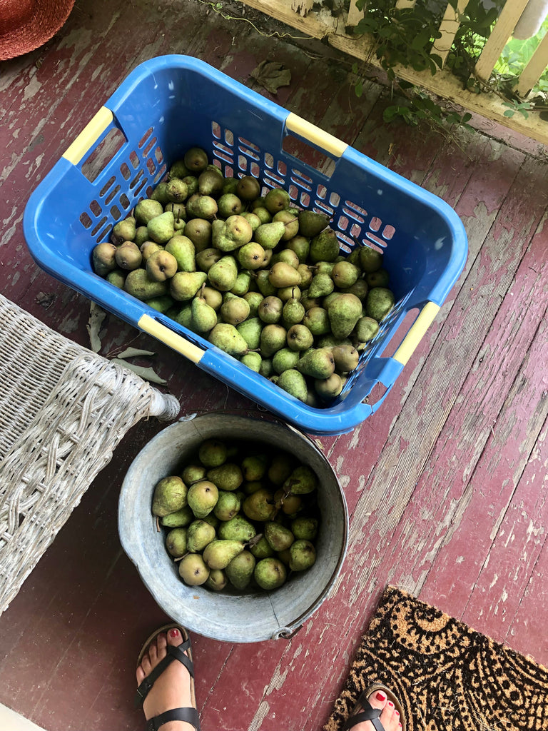 Ask Auntie Leila: My husband adds to the mess